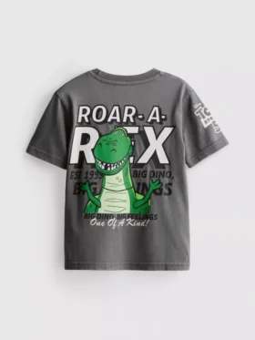 1–9 Jahre | Disney-Pixar-„Toy Story“-Rex-Hemd