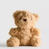 Kleines Teddybär-Plüschtier